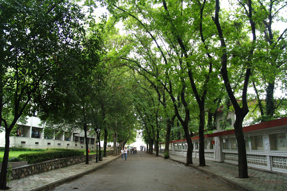 南京特殊教育职业技术学院