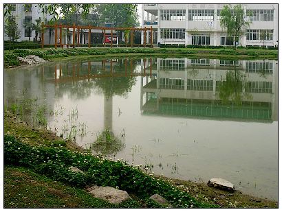 四川文化产业职业学院