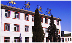 北京东方大学