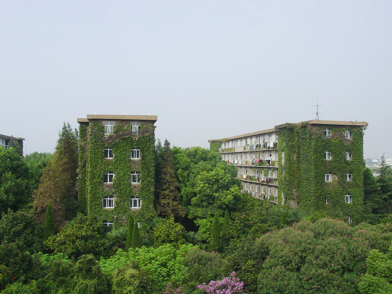 武汉工程职业技术学院