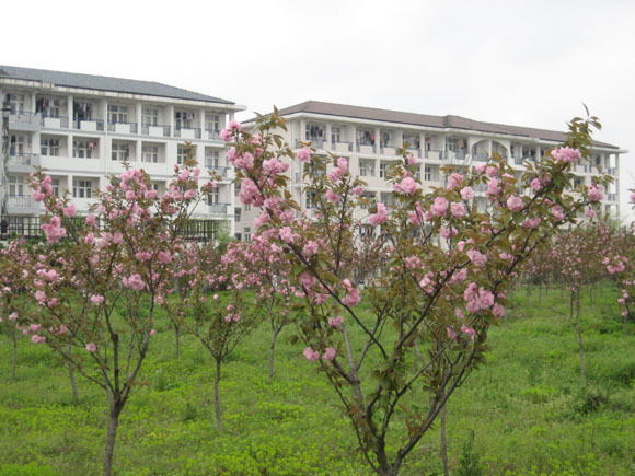 江海职业技术学院