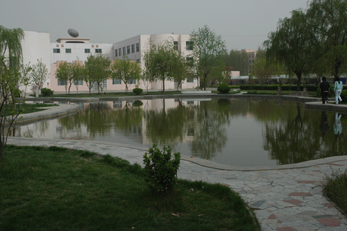 山东大王职业学院