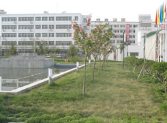 陕西国际商贸学院