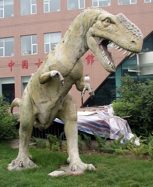 中国科学院北京古脊椎动物与古人类研究所