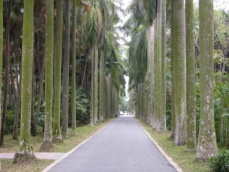 中国科学院华南植物园