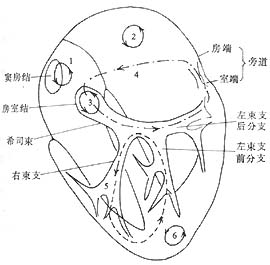 心律失常