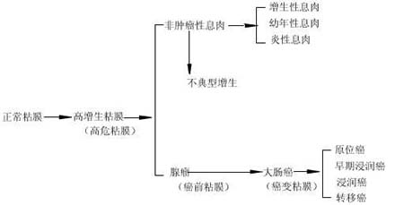 大肠恶性肿瘤