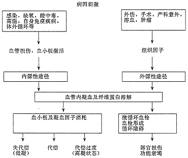 弥漫性血管内凝血