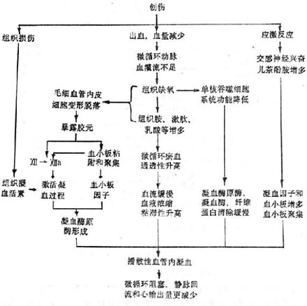 损伤性休克