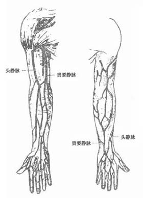 断肢再植