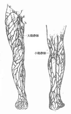 断肢再植