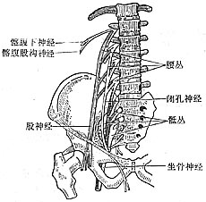 脊椎结核