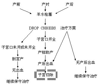 羊水栓塞