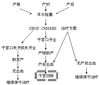 羊水栓塞