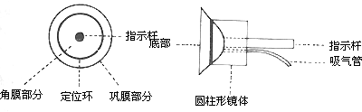 眼内异物