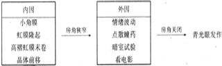 急性闭角性青光眼