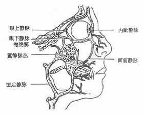 颜面部疖痈