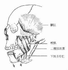 颌骨骨折