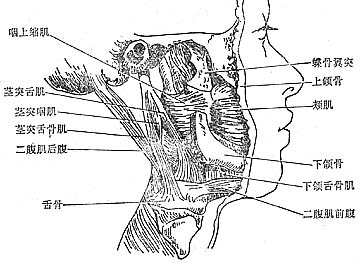 咽旁间隙感染