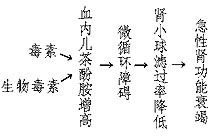 急性肾功能衰竭