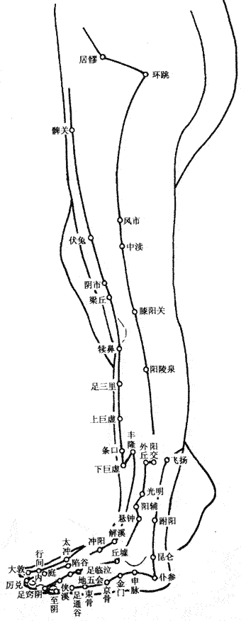 人体穴位图