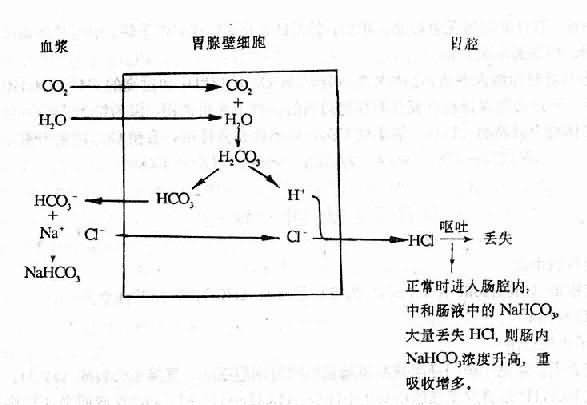 代谢性碱中毒