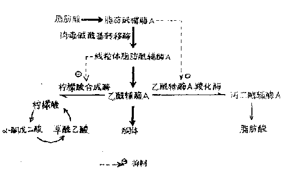 代谢性酸中毒