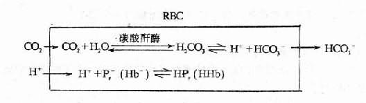 呼吸性酸中毒