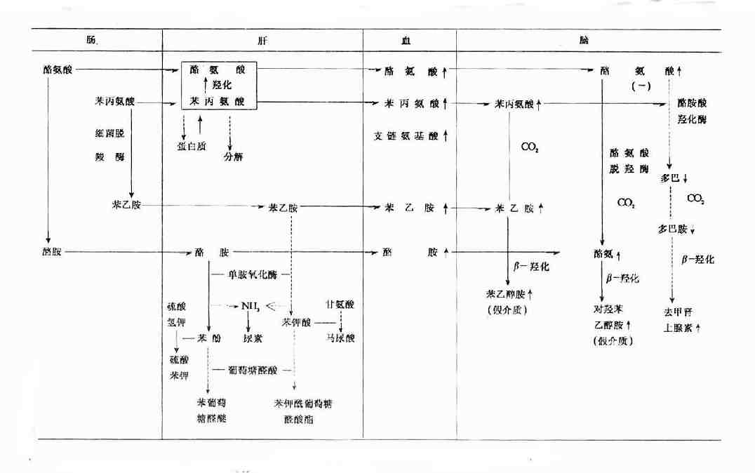 肝性脑病