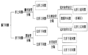 膈下脓肿切开引流术图片