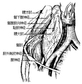 前侧显露病灶清除术图片