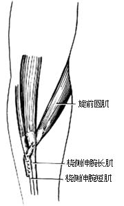 代前臂伸肌手术图片