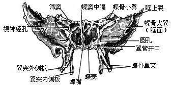 翼管神经手术图片