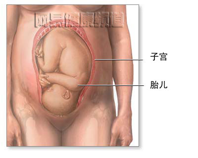 剖腹产手术图片