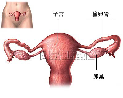 输卵管结扎术图片