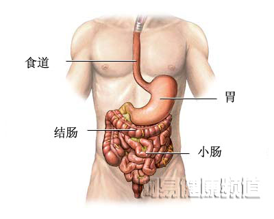 消化道出血治疗图片