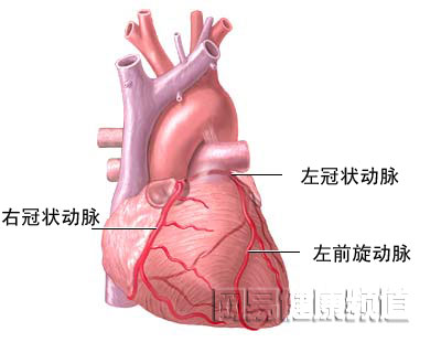 心脏搭桥手术图片