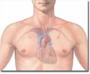 心脏移植术图片