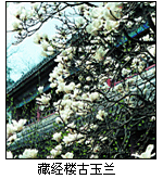 六处香界寺