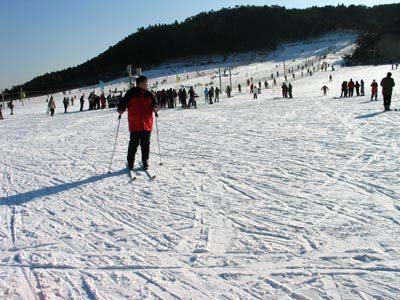 滑雪场一角
