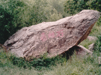 龟蛙石