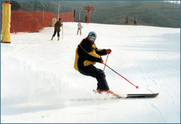 滑雪场教练特技表演