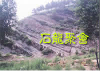 石龙聚会