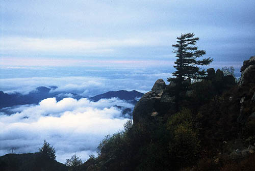 五龙头景区