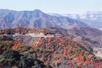 清幽的小天池景区