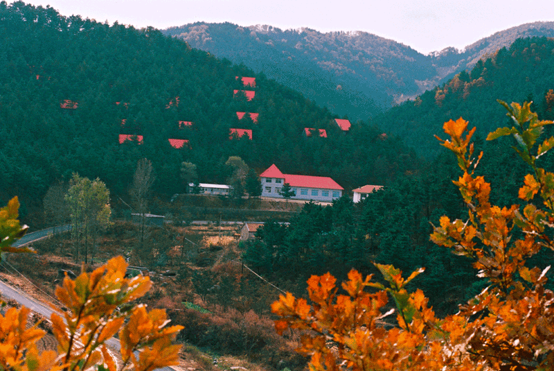 六里坪山中木屋