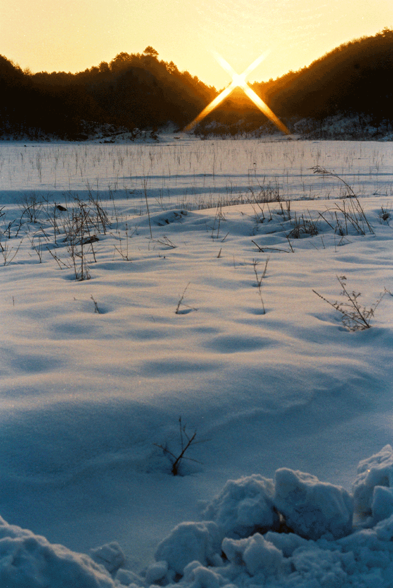 六里坪雪景