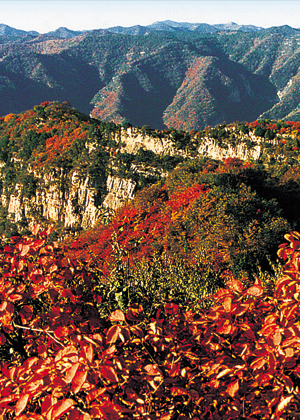 仙台山景区