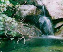 藤龙山原生态自然风景区