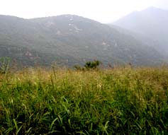 藤龙山原生态自然风景区